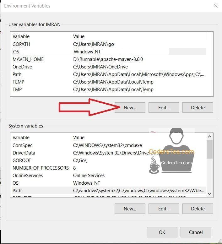 windows new env variable in