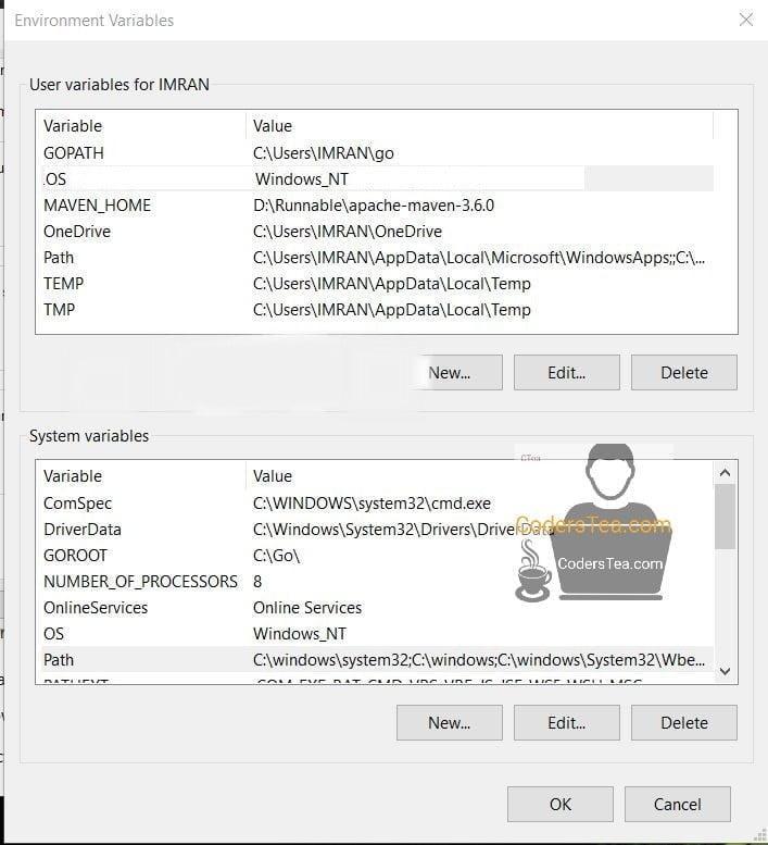 Env Variables setting be